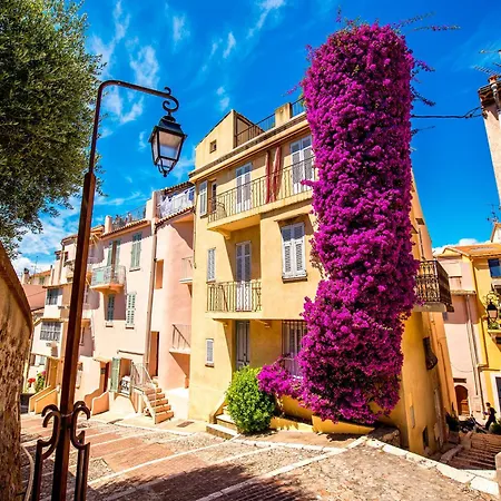 Near Palais Des Festivals *