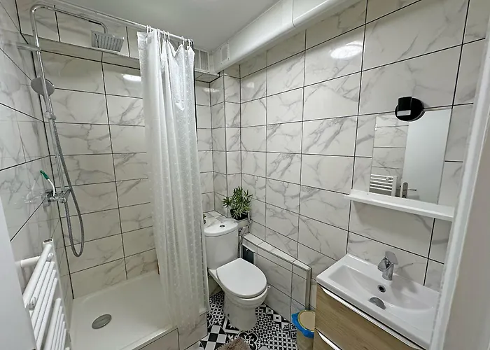 Near Palais Des Festivals Daire